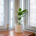 Porta Romana Living - Near Metro Station By Innstay Apartment *