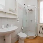 Cozy Shiny Buenos Aires *