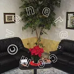 Hotel Vienna 3*