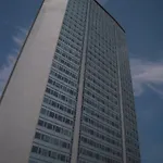 Iq