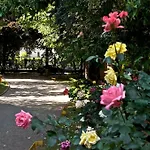 Couette-café Zara Milan