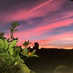 招待所 Flowers 米兰