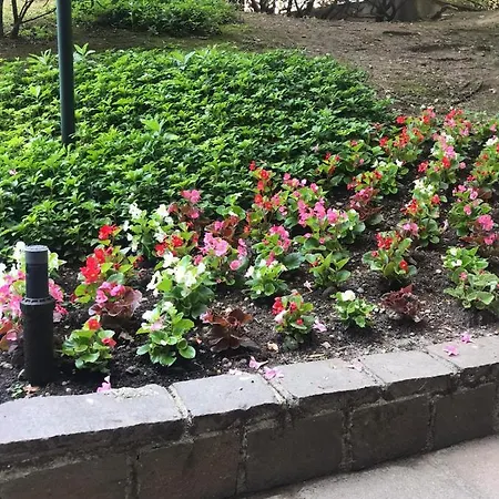 Emeraldway - Bellissimo In Zona Sempione-tre Torri Apartment Milan