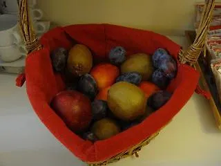 Hotell Nuovo Murillo