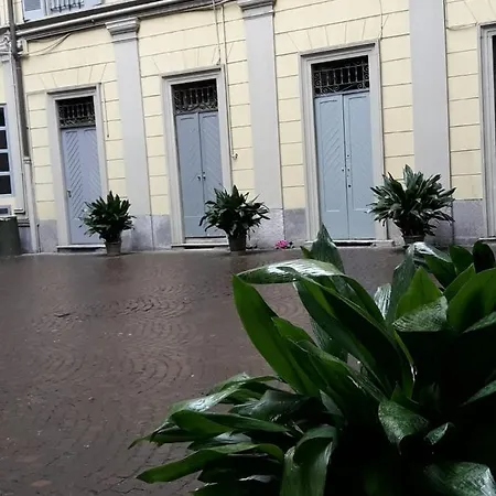 Tricolore *