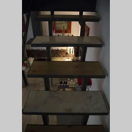 Loft Bocconi, Iulm, Fondazione Prada, Ieo *