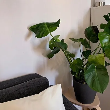Apartment Nolo28 Milan