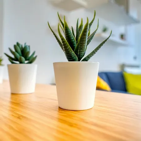 Guesthost - Casa Certosa, Bilocale A Pochi Minuti Da Rho Fiera Apartment *