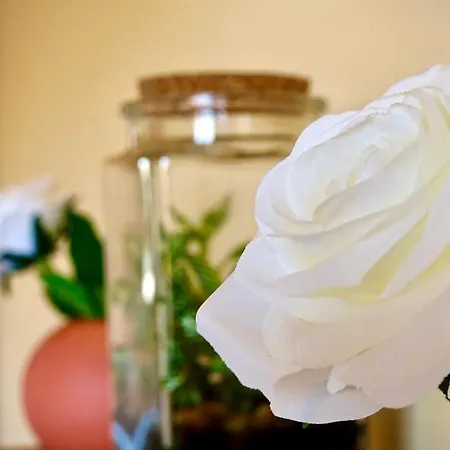 Maison Cinquante Mailand