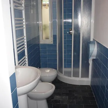 招待所 阿菲塔卡马雷安多罗那科酒店 *