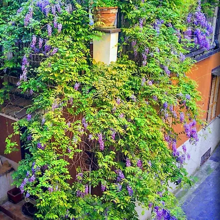 Casa vacanze Il Glicine - Casa Vacanze *