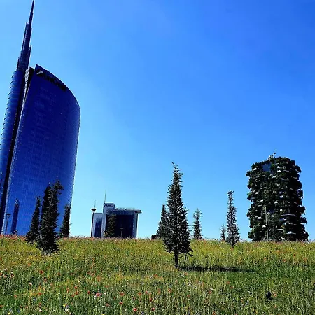 S. Ambrogio Square * Milano