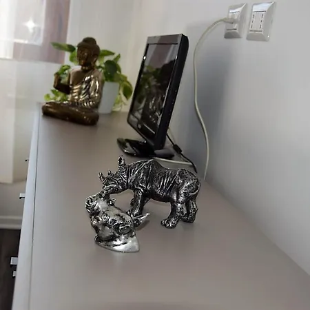 公寓 Stazione Centrale 米兰