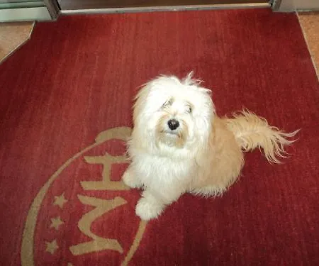 Molise 2 3* מילאנו