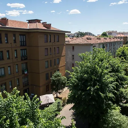 Youhosty - Suzzani 269 *