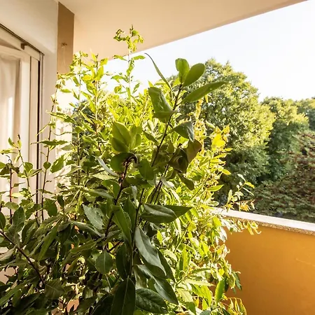 Milano Guest House *