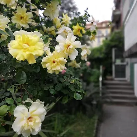 Konukevi Villamelchiorre 1