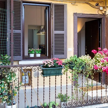 Fashion District - Floor