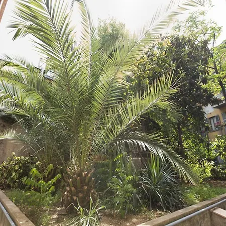 Magnoliaapartments - 18a Visconti Duomo *