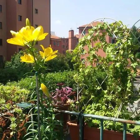 Bright & Cozy With Balcony בית הארחה *