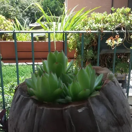 Πανσιόν Bright & Cozy With Balcony
