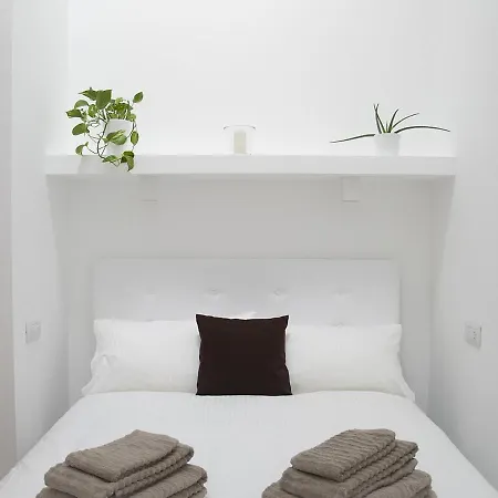 Brand New Ortiquattro *