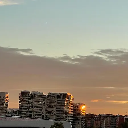 On The Floor Watching Citylife And Mico