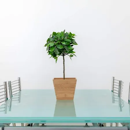 Apartment Perfect Place - Citylife, Amendola, Mico, Marghera Milan