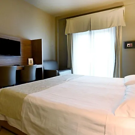 Hotel Sunflower 4*