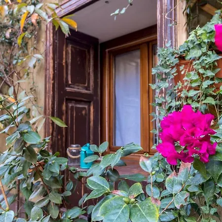 Italianway Easy - Binda 10 *