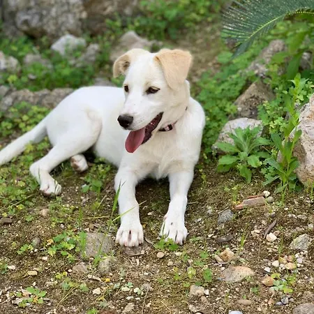 Spazio Luna * ميلان