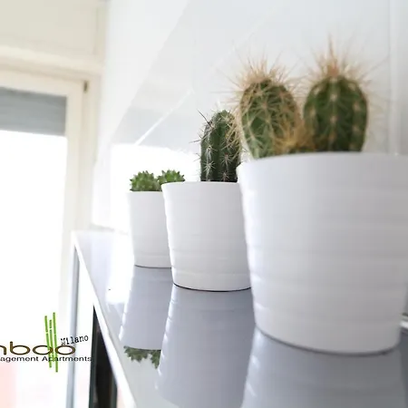 شقة Bamboo Papiniano Loft