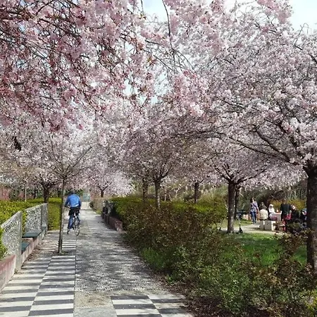 Fiera Milanocity View With Terrace Next To Shopping Mall Διαμέρισμα *