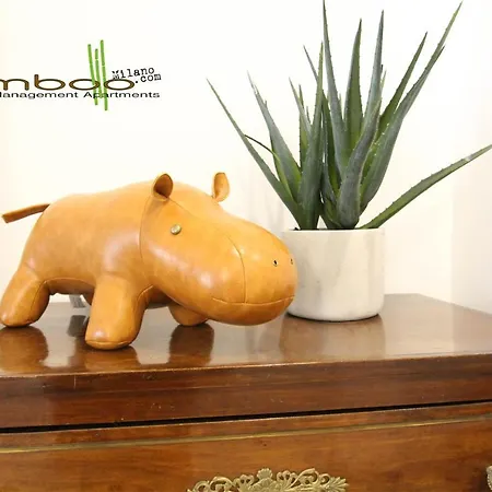 דירה Bamboo Zezonplus