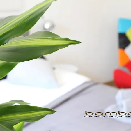 Bamboo Zezonplus 아파트