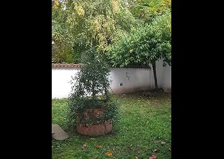Casa Calicantus 2*