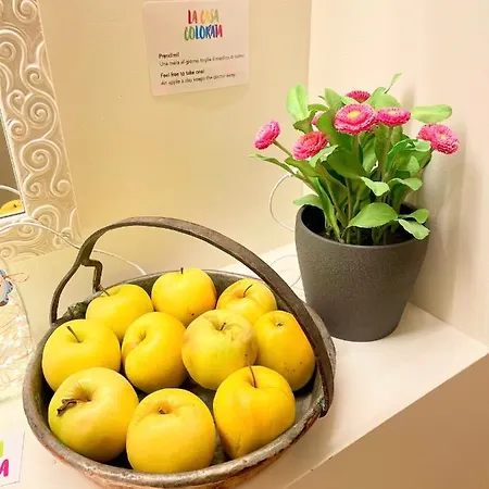 Apartamento La Casa Colorata - Flats In - Bocconi *