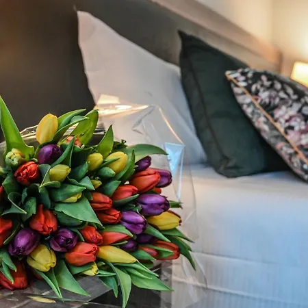 Hotel Zara 3*