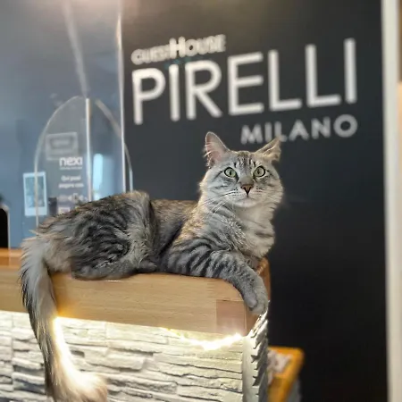 Guest house Pirelli
