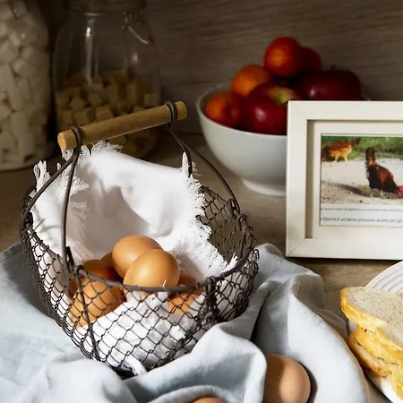 Colombia Отель 4*