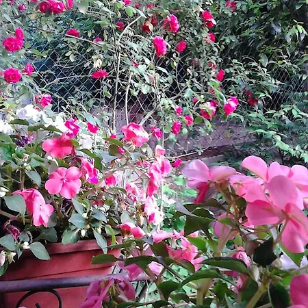 La Villetta Bed & Breakfast Milaan