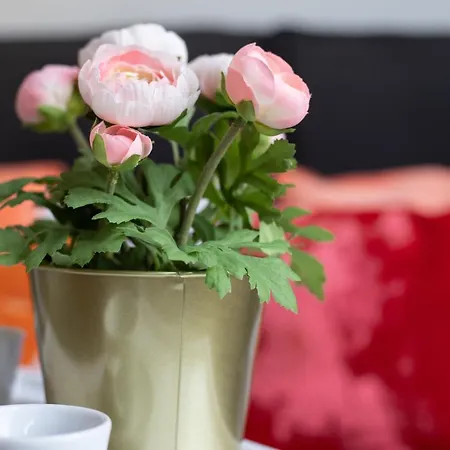 Sunshine Raggio Di Sole Daire