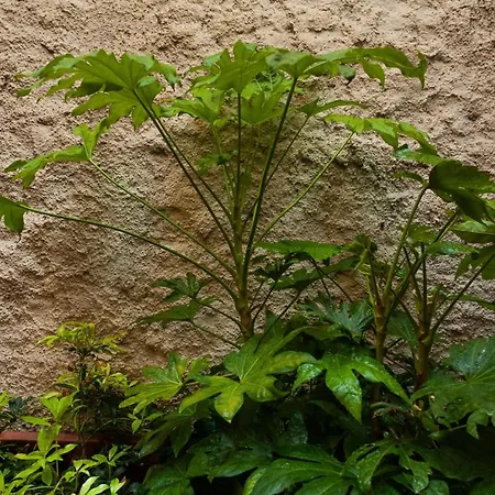 Lägenhet Bnbutler - Riccardo Galli - Incantevole Appartamento, A Casa Vostra! *