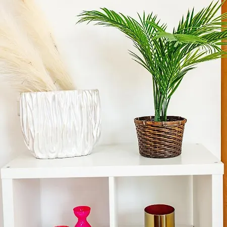 Daire Sunshine Raggio Di Sole