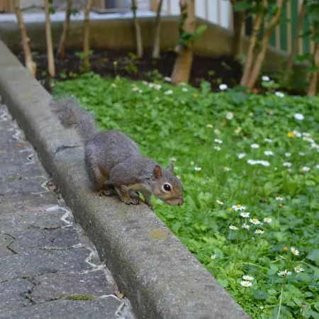 Design District- Navigli Mini Via Tortona 66