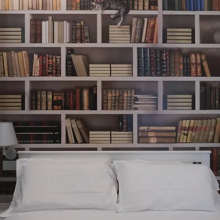 Oreaspiti - Not Only A In Magenta Quarter