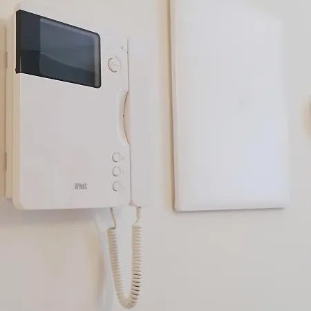 Oreaspiti - Not Only A In Magenta Quarter