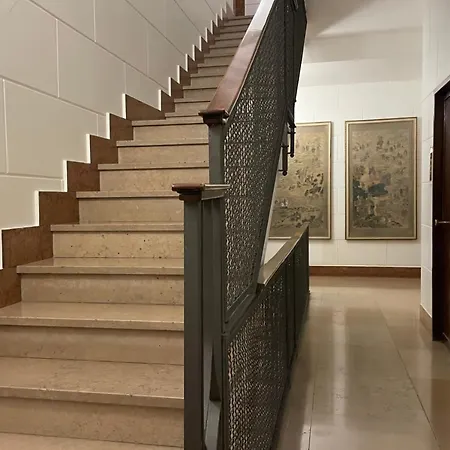 Oreaspiti - Not Only A In Magenta Quarter * 밀라노