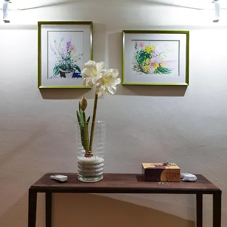 Daire Contempora - Fiori Chiari 26 *