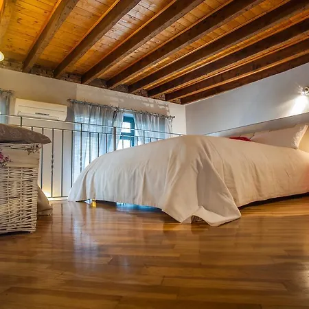 Anzani Loft